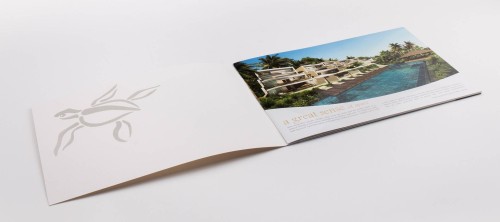 網上行銷 - Alanna 小册子