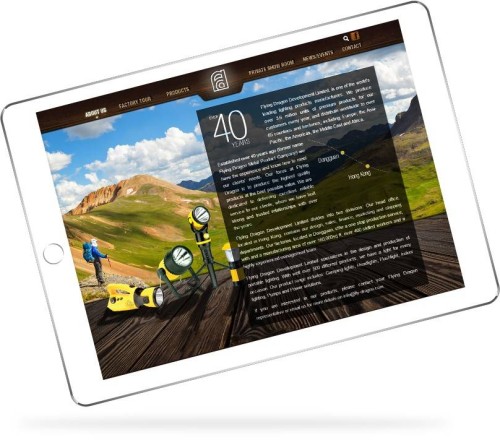 網站設計 - Flying Dragon Development Limited