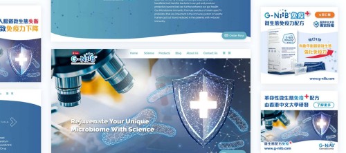 Web Design - G-NiiB Web Design