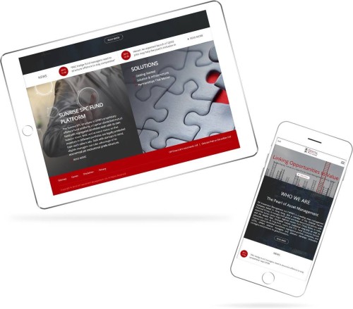 Web Design - OPIM