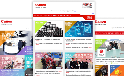 Web Design - Newsletter website