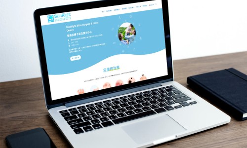 網站設計 - SkinRight